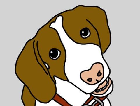 10 Things your Dog Wants You To Know
